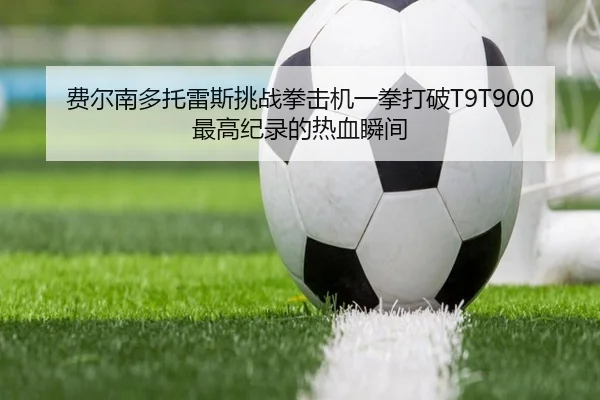 费尔南多托雷斯挑战拳击机一拳打破T9T900最高纪录的热血瞬间